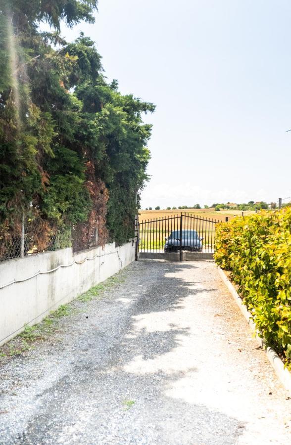 בית אירוח Kellys House